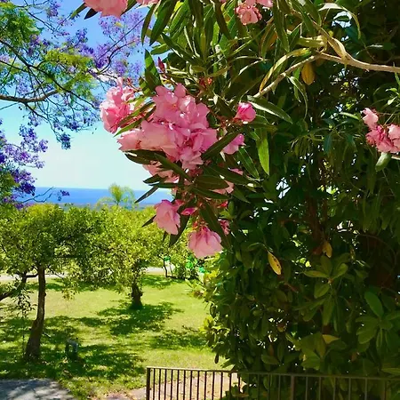Villa Tenuta Jacaranda Piedimonte Etneo